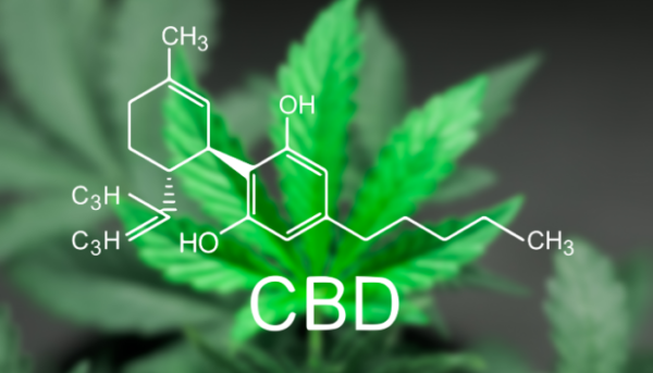General CBD Course